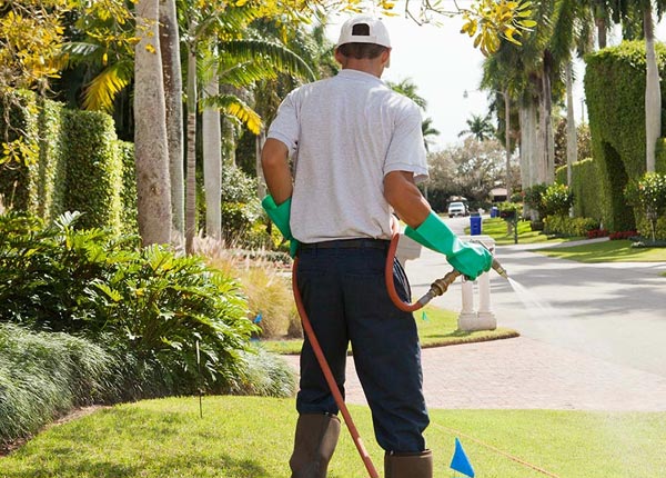 About Thorsby AL Pest Control